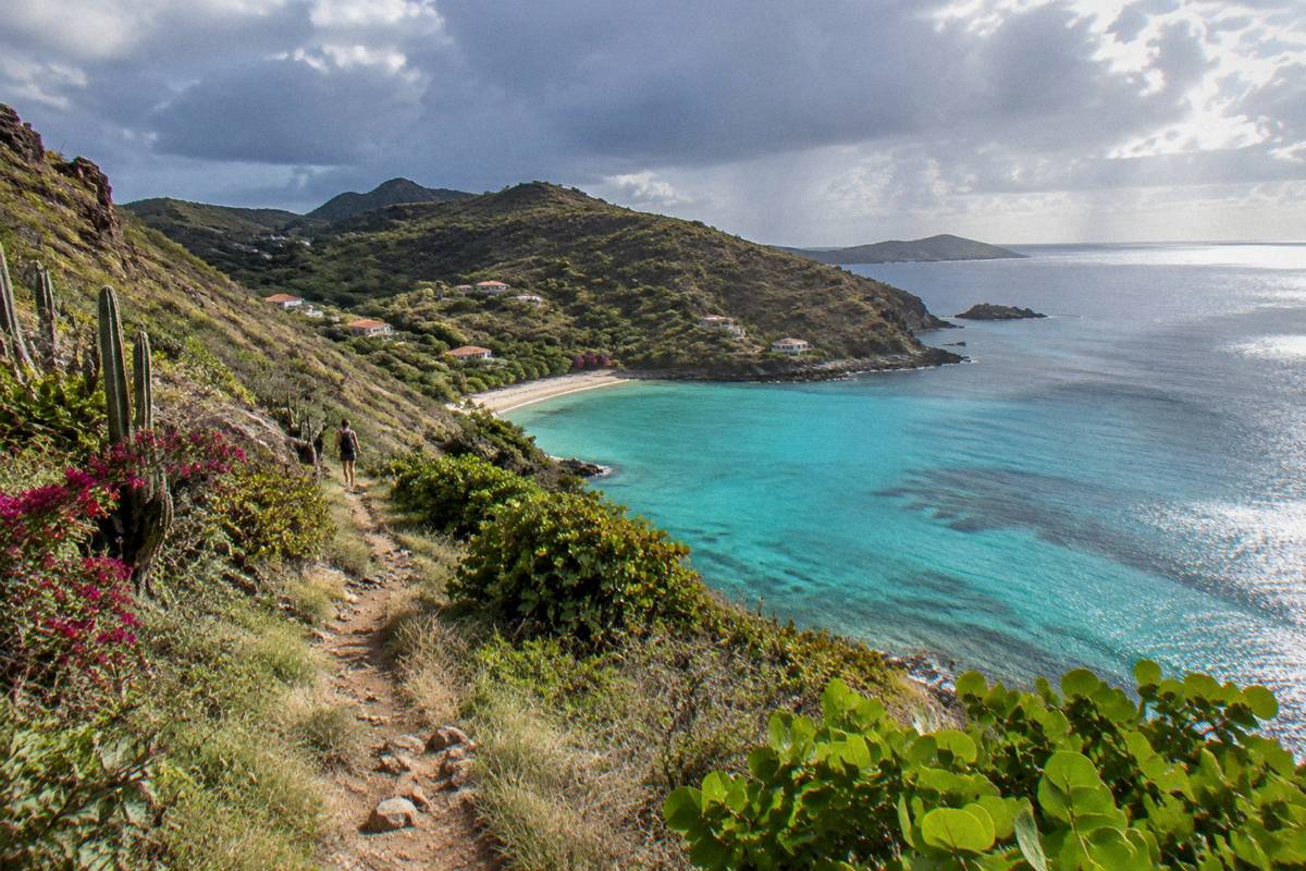 A green hillside above a Saint Barthelemy bay